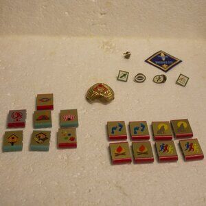 Assorted Boy Scouts of America and Webelos Merit Badges and Insignia
